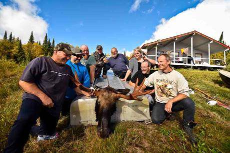 Group of hunters celebrating their moose harvest at Pourvoirie Rudy 2015, Laurentides, Quebec