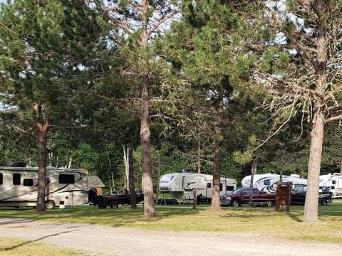 Nos emplacements de camping boisés accueillent confortablement votre véhicule récréatif.