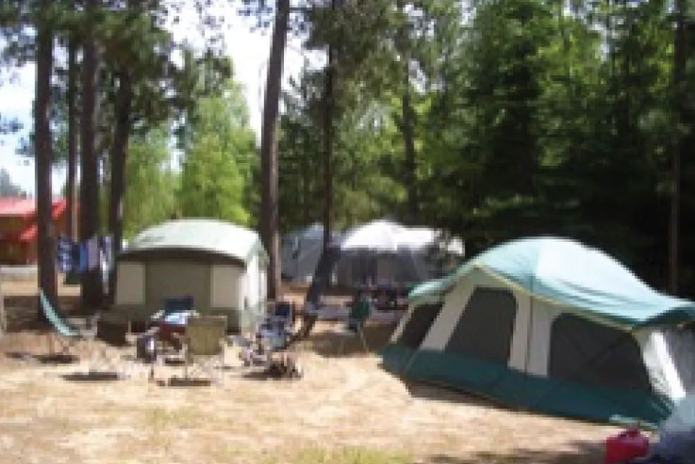 Des emplacements de camping ombragés pour tentes et VR en pleine nature.
