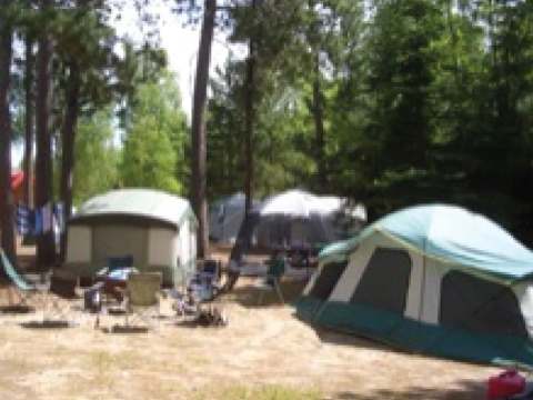 Des emplacements de camping ombragés pour tentes et VR en pleine nature.