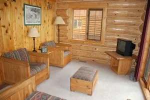 Le salon du chalet est aménagé avec des fauteuils en bois et une télévision.
