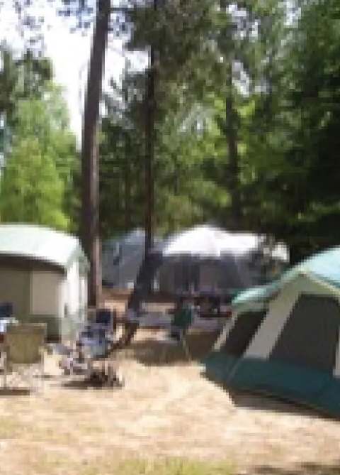 Wooded campsite at Abram Lake Park, Sunset Country, Ontario