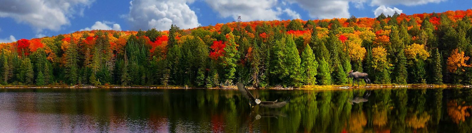 Location hebdomadaire de chalet en été — Carpenter Lake Cabins – Carpenter Lake Cabins