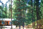 Cabin Shabu Lake Outpost — Jack Green’s Fly-In Camps – Jack Green’s Fly-In Camps