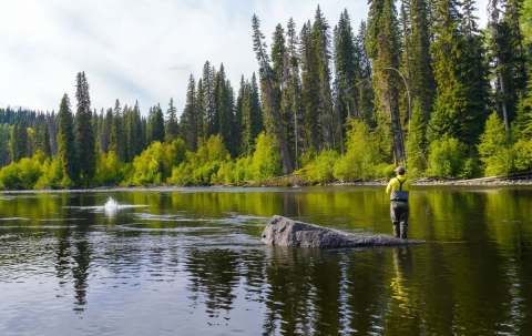 Photo of Babine Steelhead Lodge in Skeena Country, BC