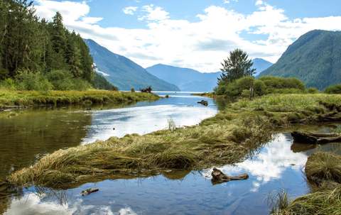 Photo of Blackfish Lodge in Vancouver Island, BC