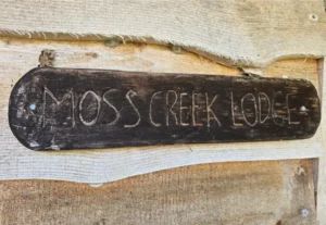 Moss Camp – Moss Camp