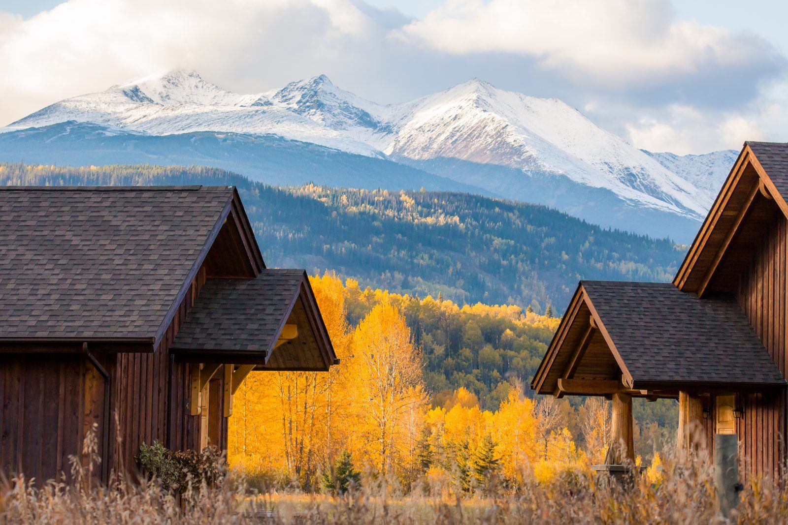 Auberge Frontier Steelhead – Auberge Frontier Steelhead