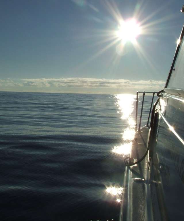 Photo of Pacific Rim Fishing Charters & Guest Lodge in Vancouver Island, BC