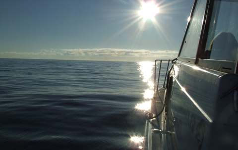 Photo of Pacific Rim Fishing Charters & Guest Lodge in Vancouver Island, BC