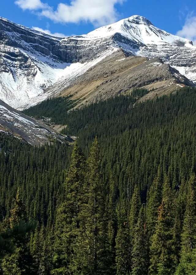 Photo de Alberta Big Horns Ltd. dans les Parkland, Ab