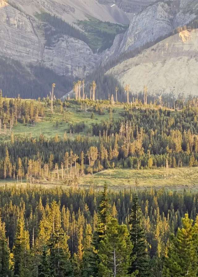 Photo of Alberta Premier Outfitters in Edmonton Region, AB