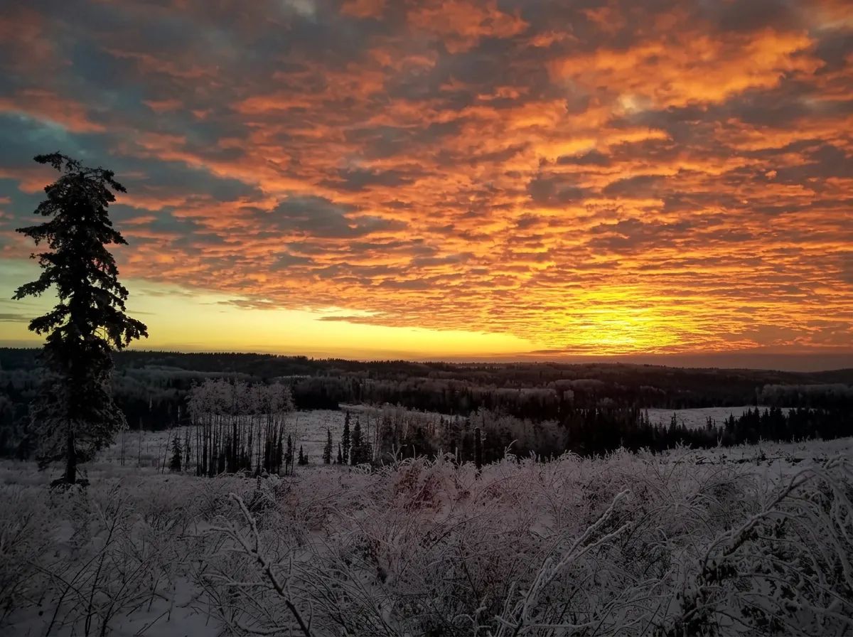 Photo of Alberta Wilderness Guide Service in Edmonton Region, AB