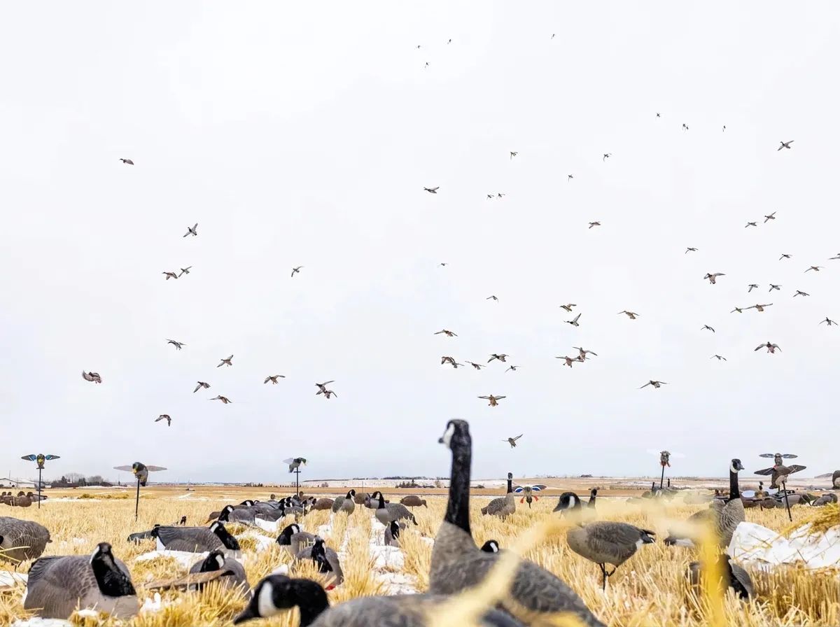 Photo of Alberta's Fall Flight Inc. in Edmonton Region, AB