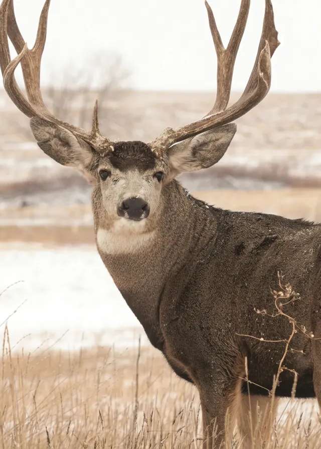 Photo de Ameri-Cana Expeditions Inc. dans la Région d'Edmonton, Ab