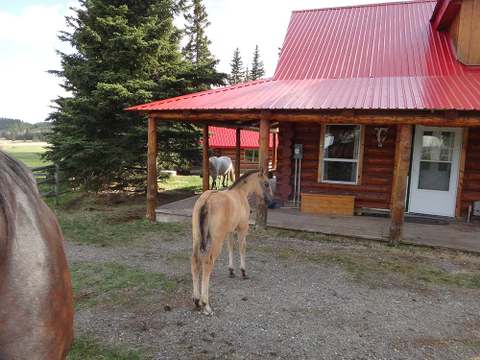 Hunter’s Cabin – Hunter’s Cabin