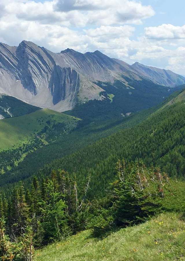 Photo of Anchor D Guiding & Outfitting Ltd. in Kananaskis, AB