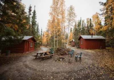Wooden cabins surrounded by forest with a picnic table and an outdoor fire pit.