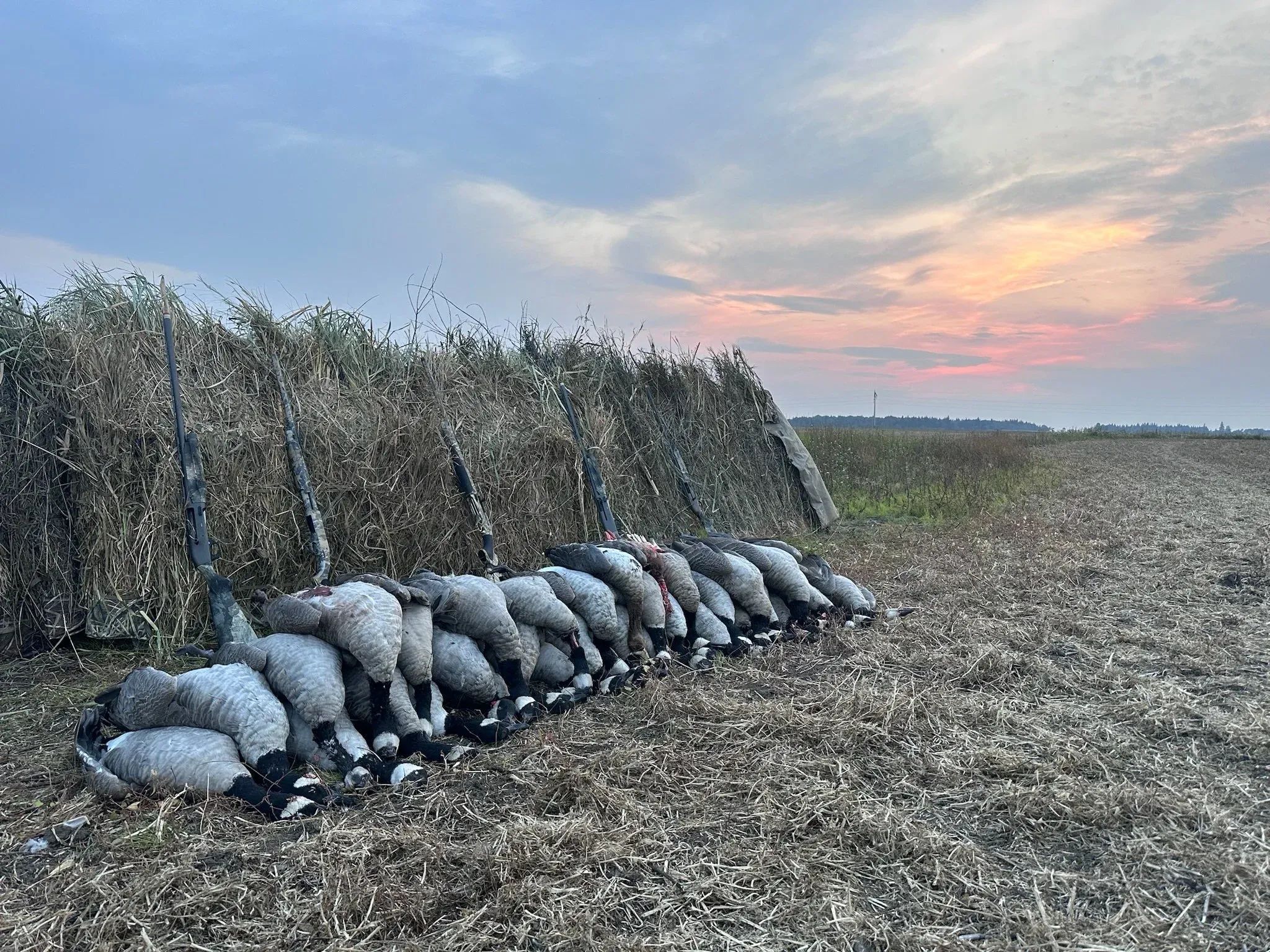 Photo of Antler Addiction Hunting Adventures Inc. in Lakeland, AB