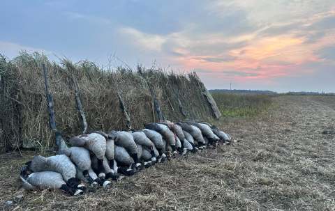 Photo of Antler Addiction Hunting Adventures Inc. in Lakeland, AB