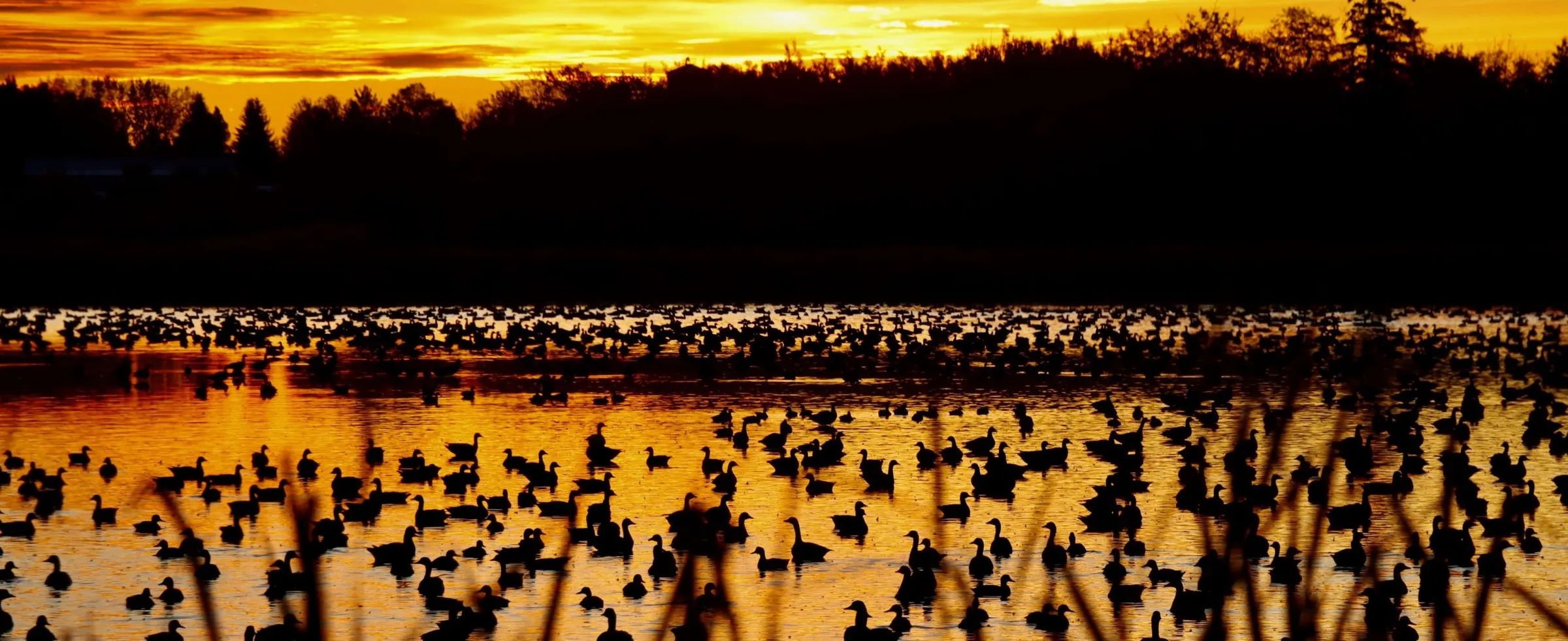 Photo of Avenir Guiding & Outfitting in Central Alberta, AB