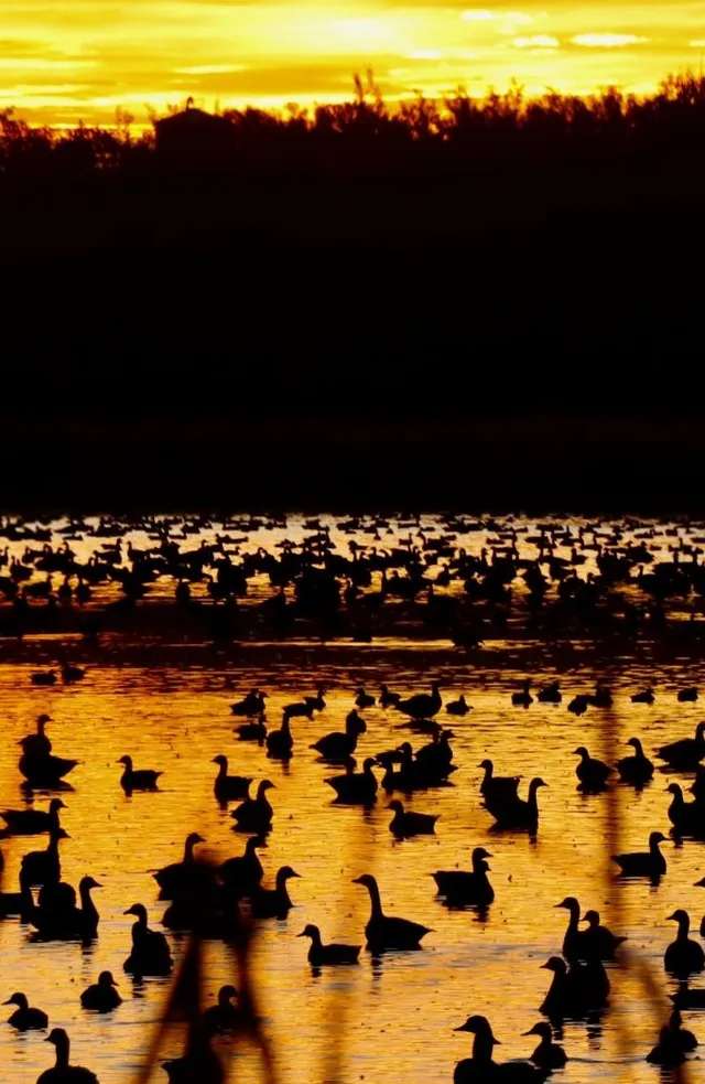 Photo of Avenir Guiding & Outfitting in Central Alberta, AB