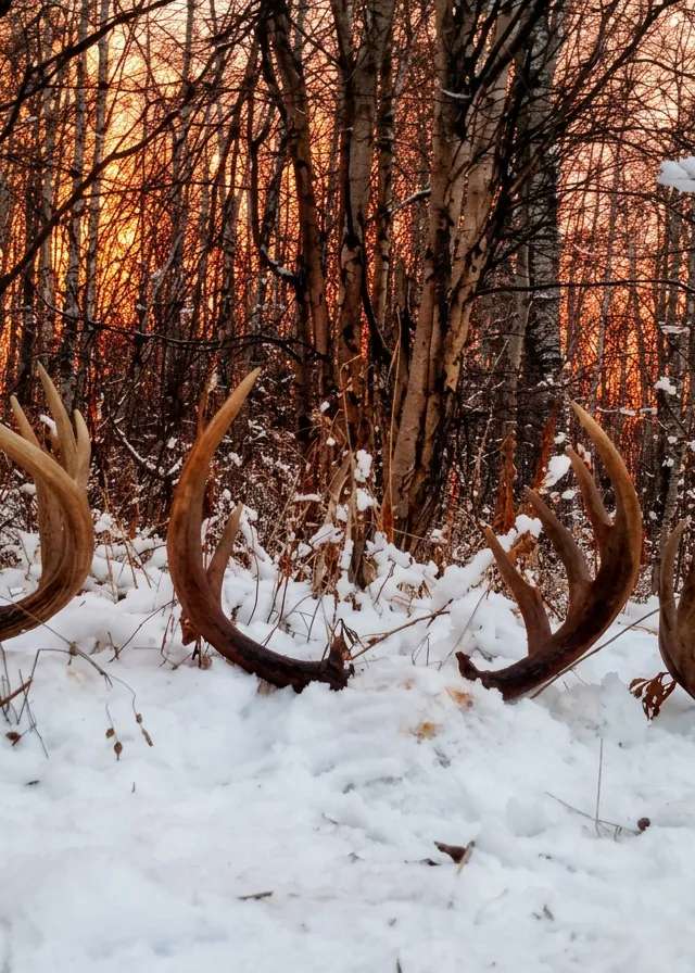 Photo of Backwood Encounters in Lakeland, AB