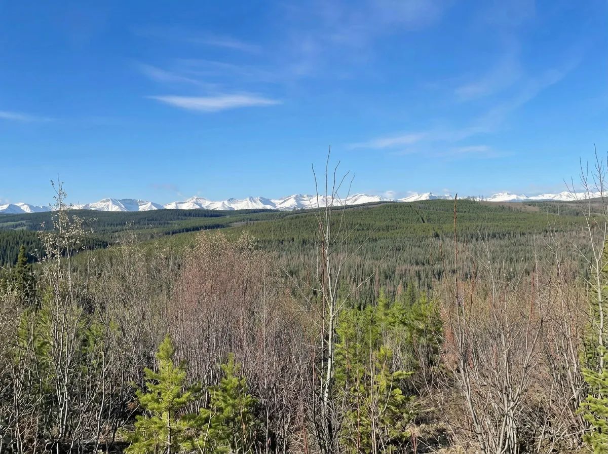 Photo of Bakers Adrenaline Outfitting in Central Alberta, AB