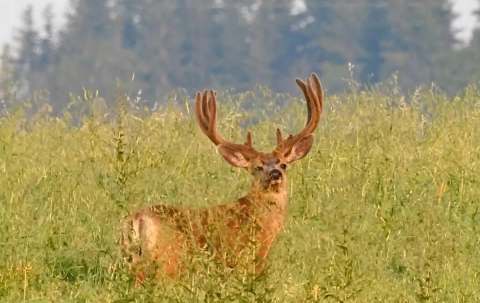 Photo of Big Tine Adventures in Peace Country, AB