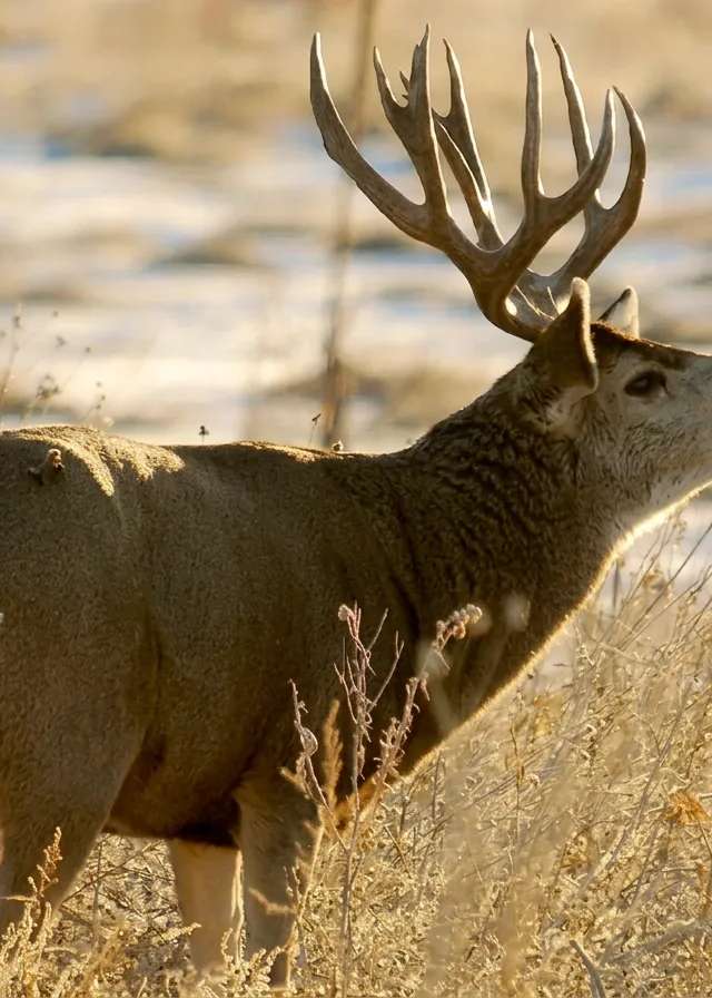 Photo of Buckbrush Outfitters in Edmonton Region, AB