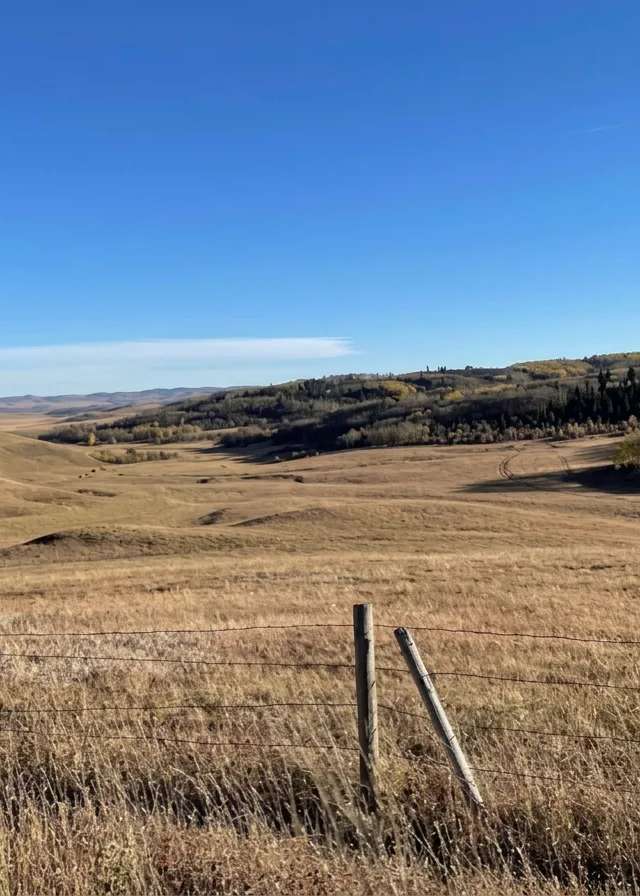 Photo of C4 Outfitters Ltd. in Edmonton Region, AB