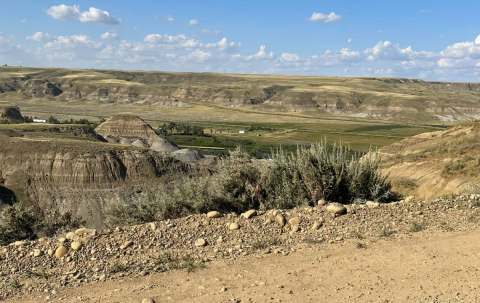 Photo of Cactus Country Outfitters in Badlands, AB