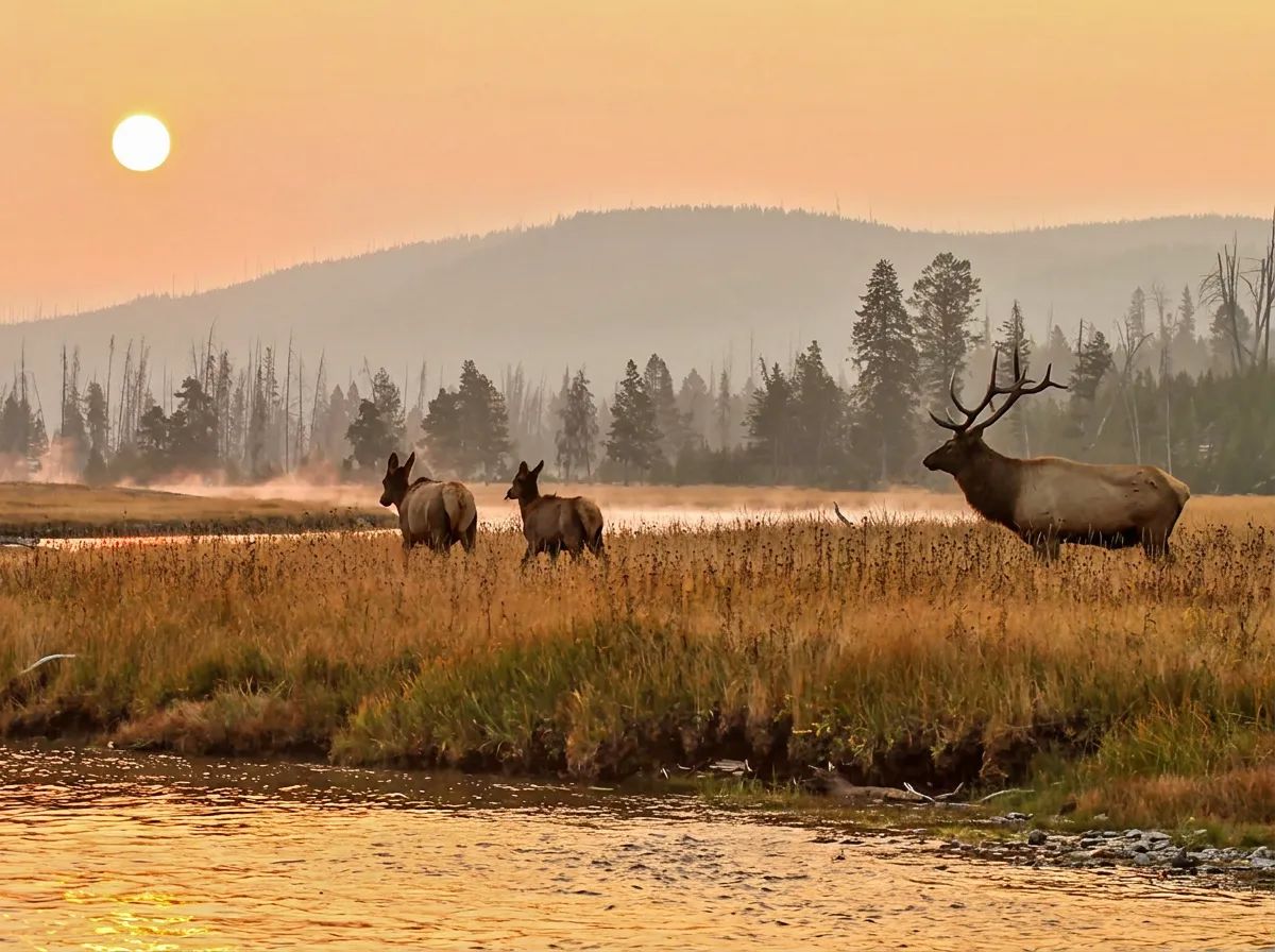 Photo of Carrot Creek Outfitting in Edmonton Region, AB