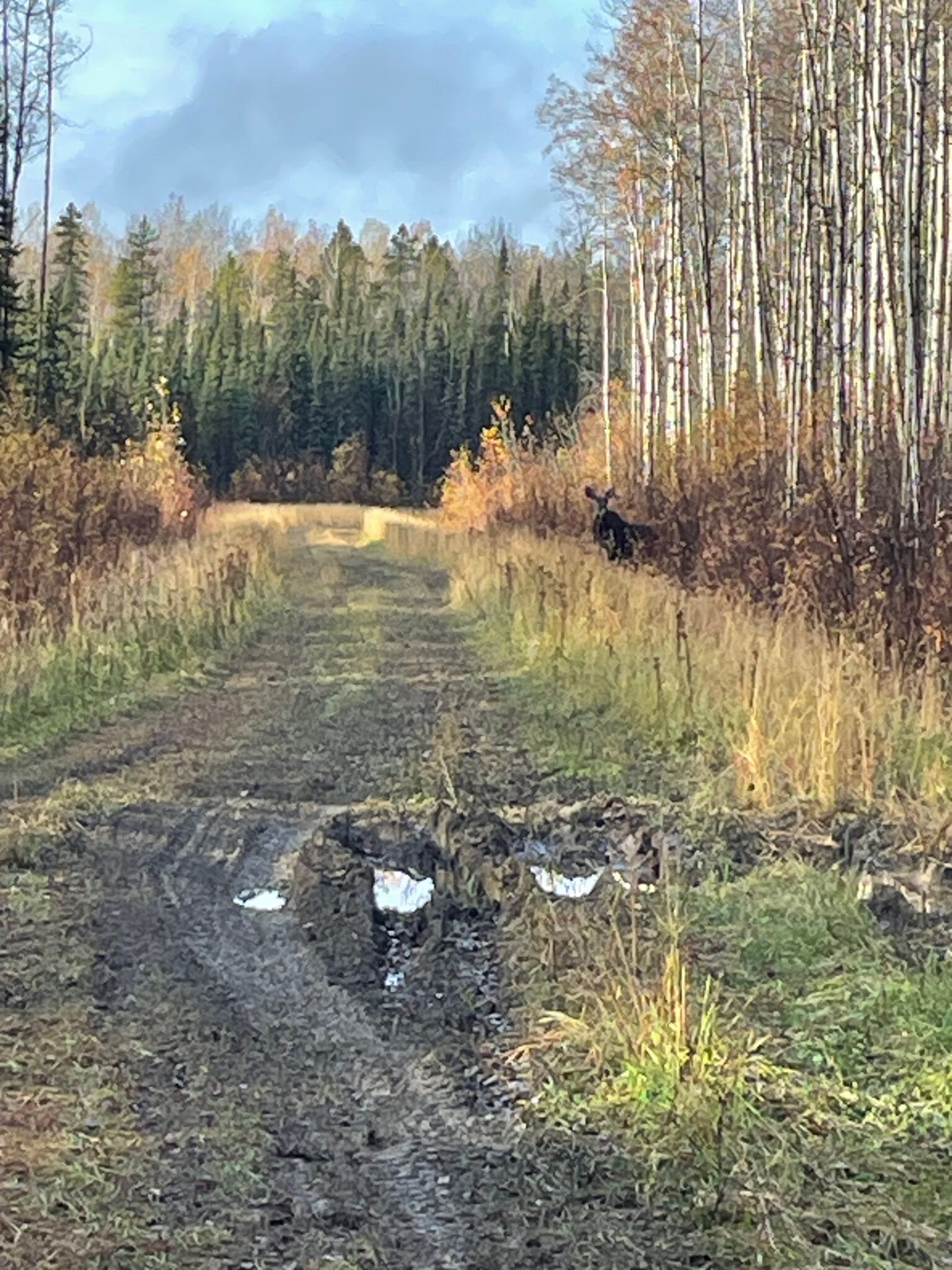 Cabin Keg River Camp — Chinchaga River Hunts – Chinchaga River Hunts