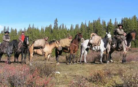 Photo of Corey Kristoff's Classic Mountain Hunts in Rockies, AB