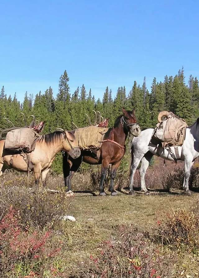 Photo de Corey Kristoff's Classic Mountain Hunts dans les Rocheuses, Ab