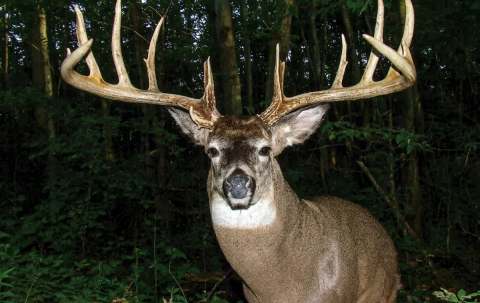 Photo of Diamond Willow Trophy Hunts in Central Alberta, AB