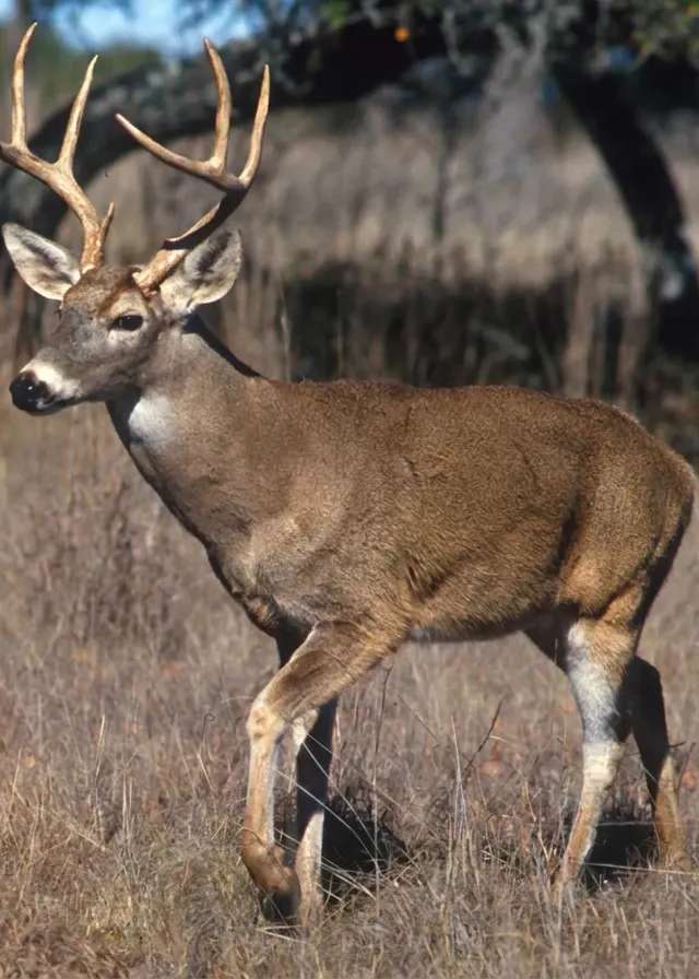 Photo of Excell Outfitters in Alberta