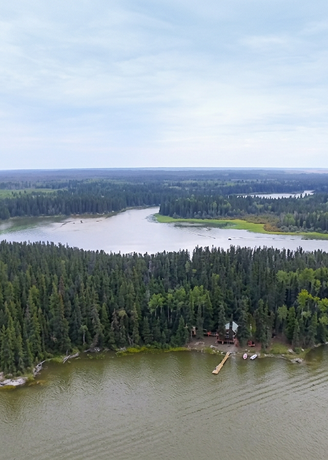 Photo of All Terrain Bear Hunts in Northern Manitoba, MB