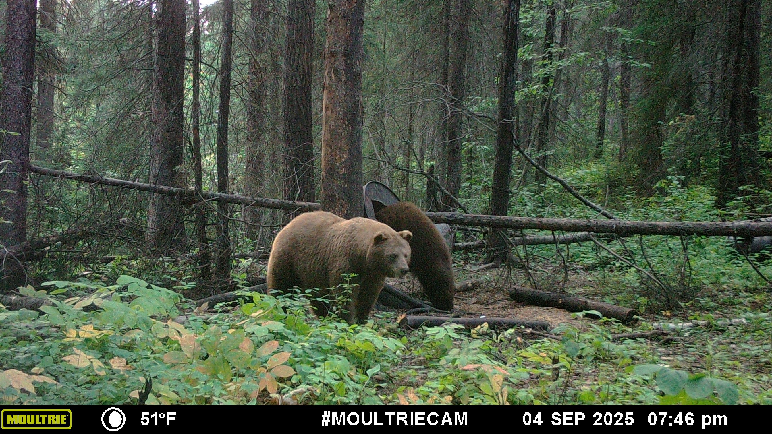 Photo of Bear North Outfitters in Northern Manitoba, MB