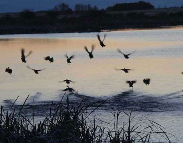 Photo de Big Grass Outfitters dans les Parkland, Mb