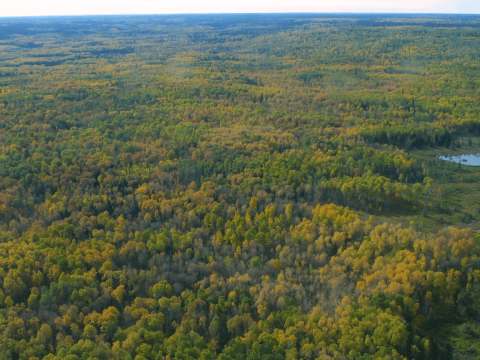 Camp de chasse Duck Mountain – Camp de chasse Duck Mountain
