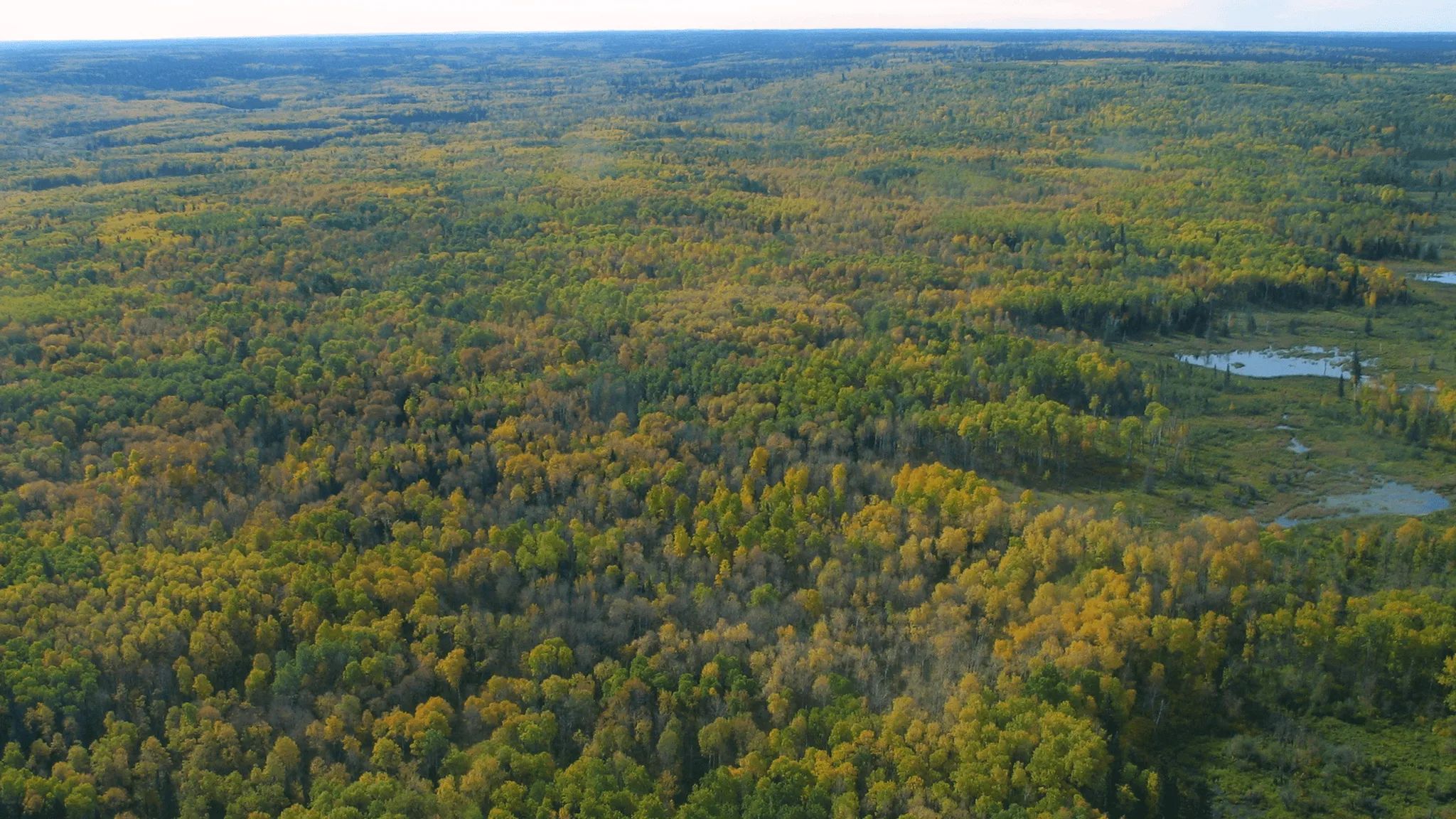 Photo of Canadian Wilderness Outfitters in Duck Mountain, MB