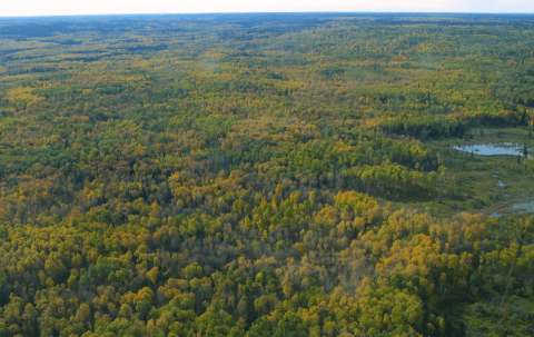 Photo de Canadian Wilderness Outfitters dans les Duck Mountain, Mb