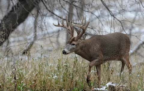 Photo of East-Man Outfitting in Interlake, MB