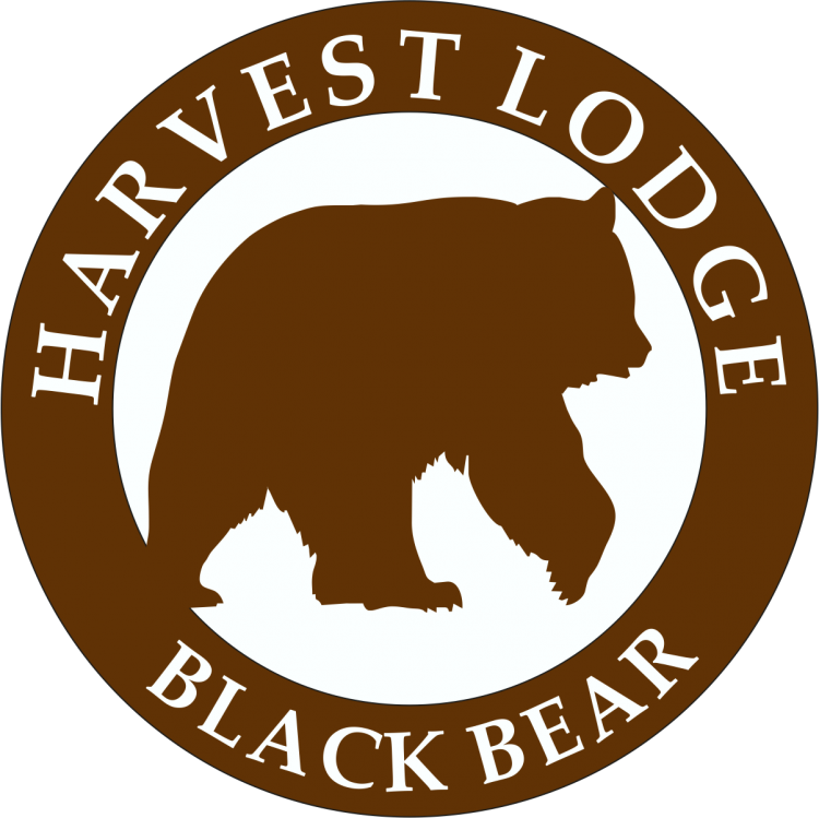 Cabin Bear’s Den — Harvest Lodge – Harvest Lodge