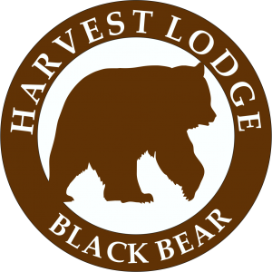Cabin Bear’s Den — Harvest Lodge – Harvest Lodge