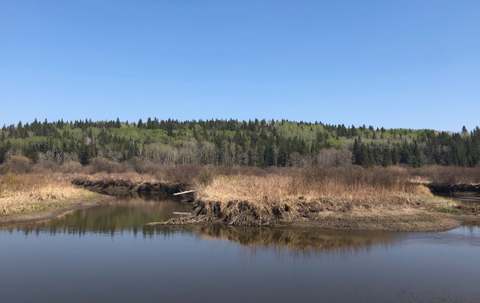 Photo of Hawthorn Outfitting in Duck Mountain, MB