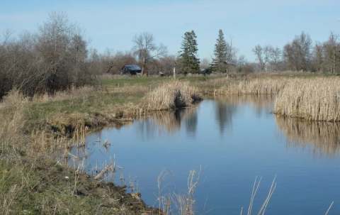 Photo of MacCarthy Guiding and Outfitting in Parkland, MB