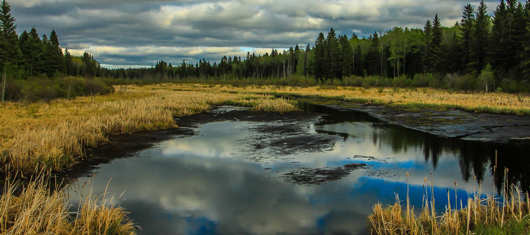 Photo of Muskeg Country Outfitters in Riding Mountain, MB
